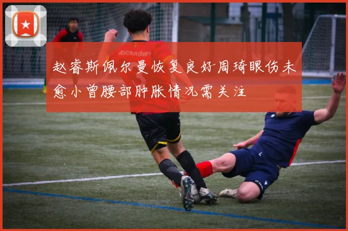 赵睿斯佩尔曼恢复良好周琦眼伤未愈小曾腰部肿胀情况需关注