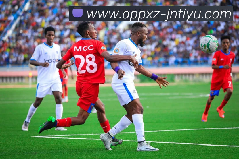 App Interface Preview