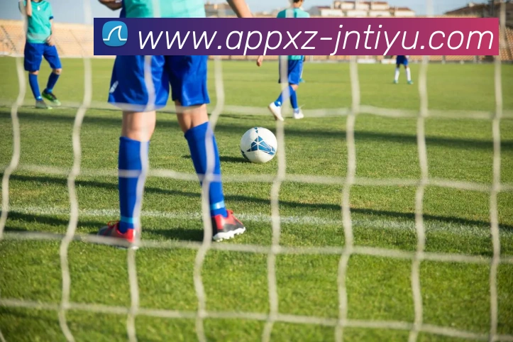 江南体育APP 封面图